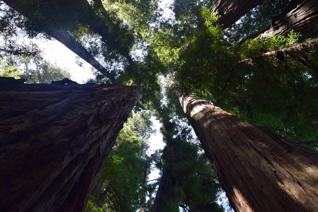 The Eco-Friendly Explorer: Sustainable Outdoor Travel Tips